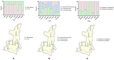 Detection of antibiotic-resistant canine origin Escherichia coli and the synergistic effect of magnolol in reducing the resistance of multidrug-resistant Escherichia coli